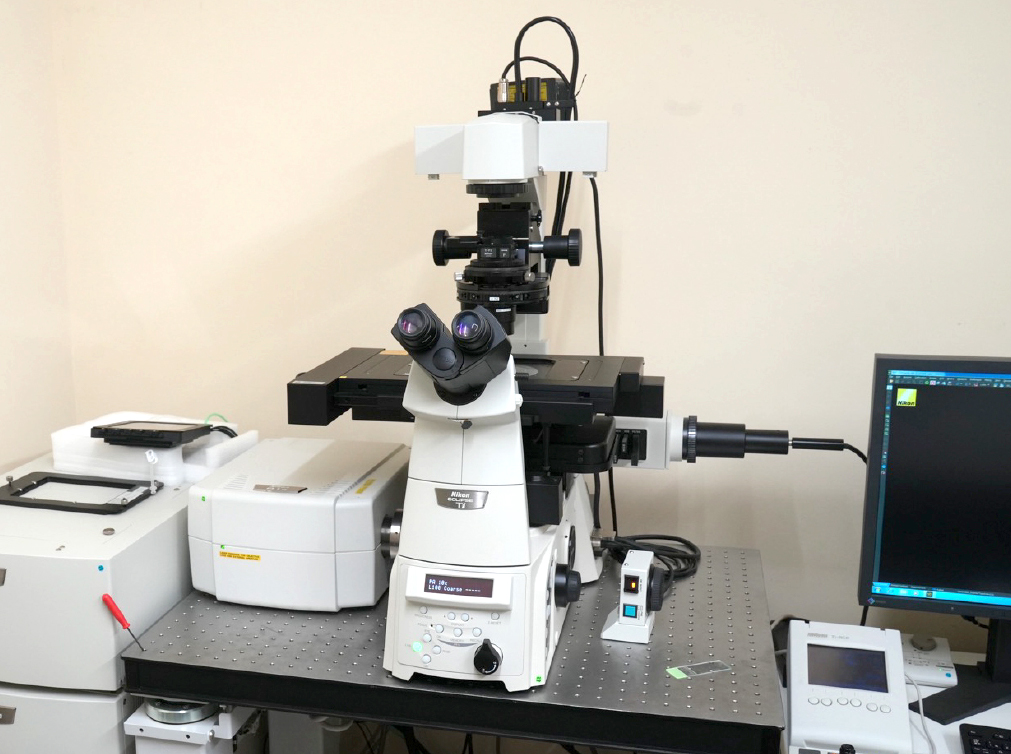 タイムラプスイメージング用の共焦点レーザー顕微鏡